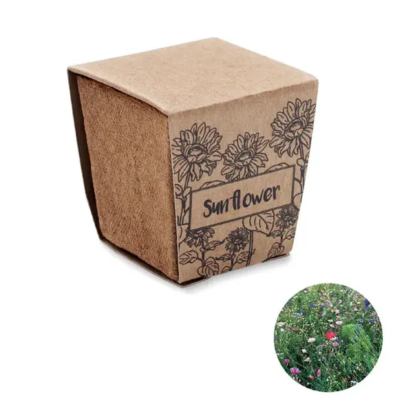 Kit pentru cultivarea florii-so Kit pentru cultivarea florii-so