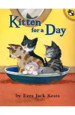 Kitten for a Day - Ezra Jack Keats