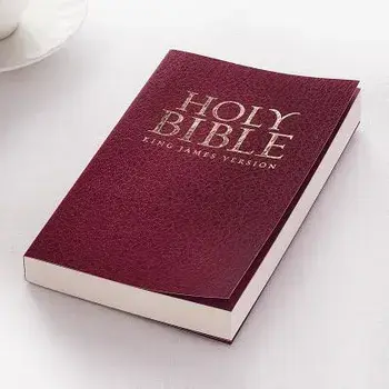KJV Budget Gift & Award Soft Cover Burgundy, Paperback/***