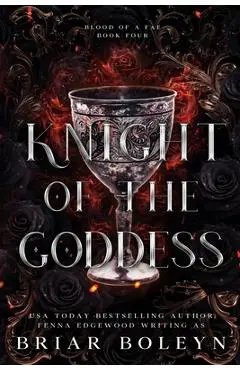 Knight of the Goddess: A Dark Fae Fantasy Romance - Briar Boleyn