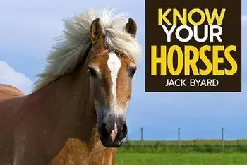 Know Your Horses, Paperback/Jack Byard