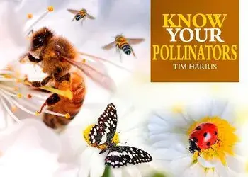 Know Your Pollinators, Paperback/Tim Harris