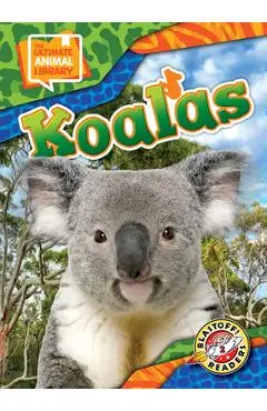 Koalas - Janie Scheffer