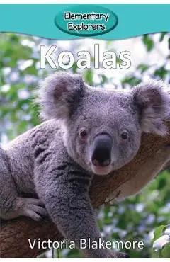 Koalas - Victoria Blakemore