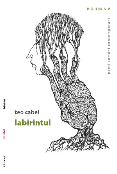 Labirintul | Teo Cabel