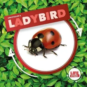 Ladybird, Hardback/Kirsty Holmes