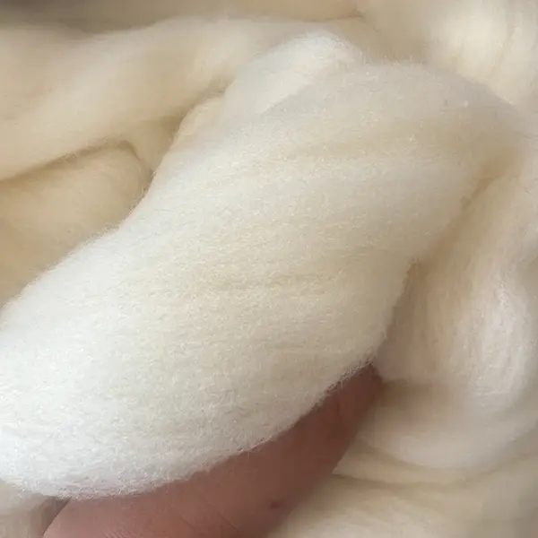 Lana Cardata Merinos Alb Premium 500g, 20-22 Microni, Fibra 6-8 Cm, Naturala, Spalata, Uscata la Soare, Ideala pentru Felting, Filare, Umplutura,