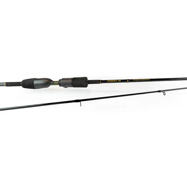 Lanseta Detector Salt 1.98m 10g