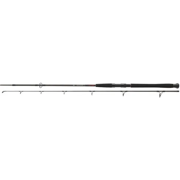 Lanseta Exceler Catfish Spin 2.40m up 185g