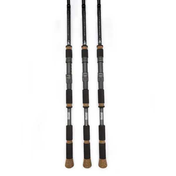 Lanseta G-Seris Hybrid 3.00m 5-15g