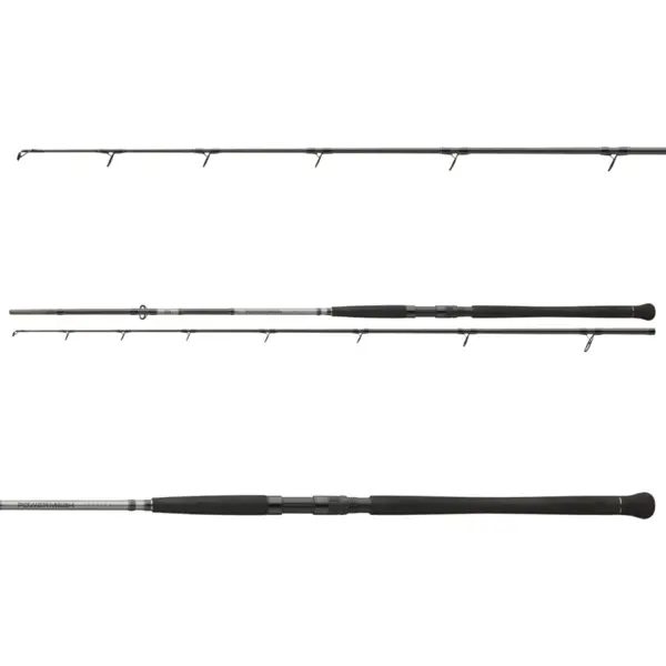 Lanseta Powermesh Catfish Boje 3.00m 150-400g