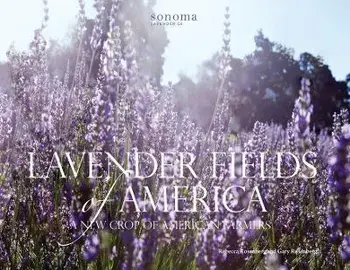 Lavender Fields of America: A New Crop of American Farmers, Paperback/Rebecca Rosenberg