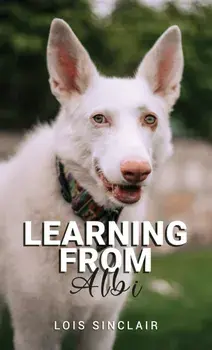 Learning from Albi, Paperback/Lois Sinclair