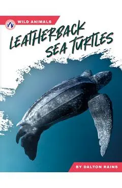 Leatherback Sea Turtles - Abby Doty