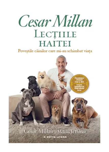Lectiile haitei | Cesar Millan
