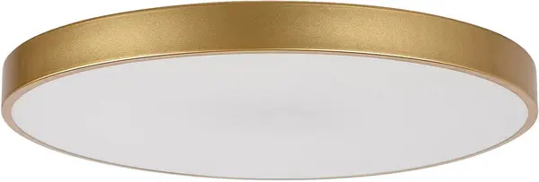 LED Plafon Rabalux - Tesia 71038, IP 20, 60 W, reglabil, aurie