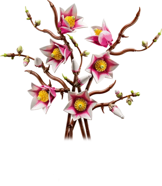 LEGO Botanicals - Magnolia Branches (11510) | LEGO