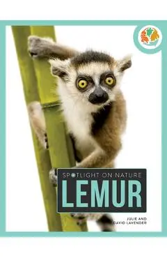 Lemur - Julie Lavender