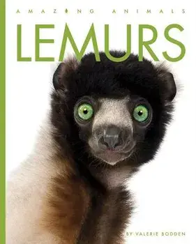 Lemurs, Paperback/Valerie Bodden