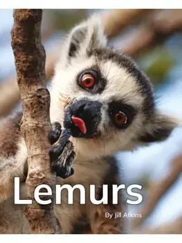 Lemurs. Phonics Phase 5, Paperback/***