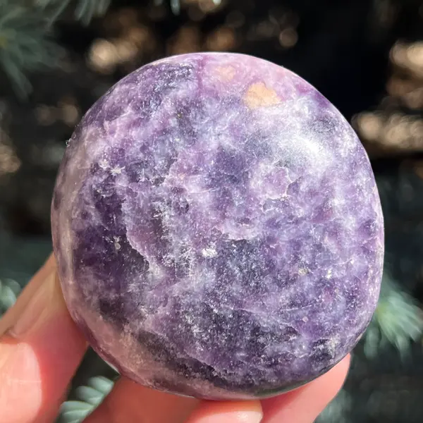 Lepidolit palmstone m8