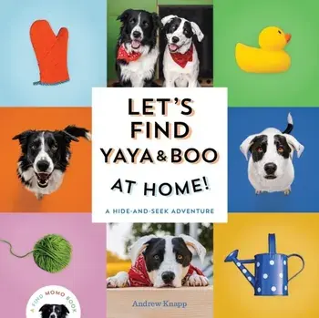 Let's Find Yaya and Boo at Home!. A Hide-and-Seek Adventure, Board book/Andrew Knapp