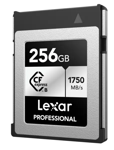 Lexar CFexpress Pro Silver Serie R1750/W1300 256GB, Card memorie