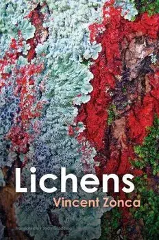 Lichens - Toward a Minimal Resistance, Paperback/V Zonca