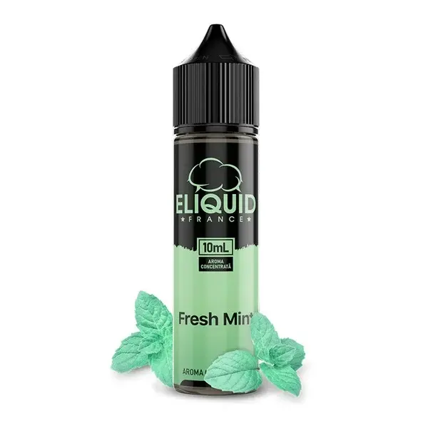 Lichid Longfill eLiquid France 10ml - Fresh Mint