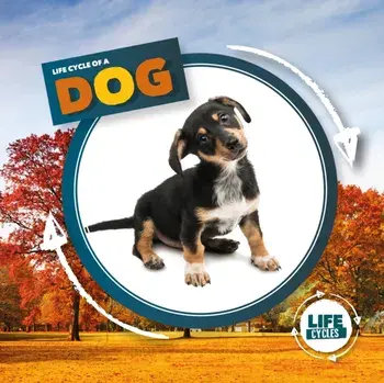 Life Cycle of a Dog, Hardback/Kirsty Holmes
