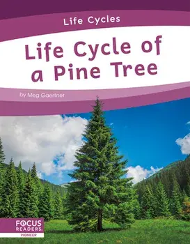 Life Cycle of a Pine Tree, Paperback/Meg Gaertner