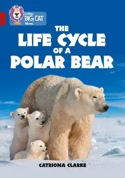 Life Cycle of a Polar Bear. Band 14/Ruby, Paperback/Catriona Clarke