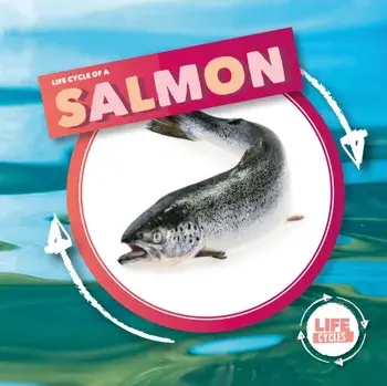 Life Cycle Of A Salmon, Hardback/Kirsty Holmes