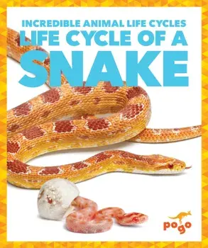 Life Cycle of a Snake, Hardback/Karen Latchana Kenney