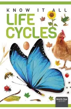 Life Cycles - Louise Nelson