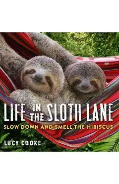 Life In The Sloth Lane