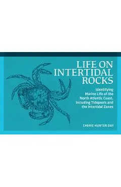 Life on Intertidal Rocks: Identifying Marine Life of the North Atlantic Coast, Including Tidepools and the Intertidal Zones - Cherie Hunter Day