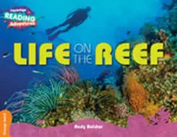 Life on the Reef Orange Band, Paperback/Andy Belcher