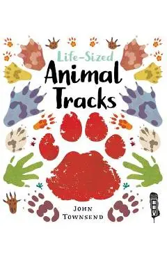 Life-Sized Animal Tracks - John Townsend