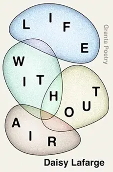 Life Without Air, Paperback/Daisy Lafarge