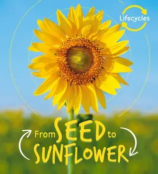 Lifecycles: Seed to Sunflower, Paperback/Camilla de la Bedoyere
