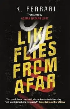 Like Flies from Afar, Paperback/K. Ferrari