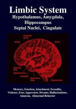Limbic System: Amygdala, Hypothalamus, Septal Nuclei, Cingulate, Hippocampus: Emotion, Memory, Language, Development, Evolution, Love, Paperback/R. Gabriel Joseph