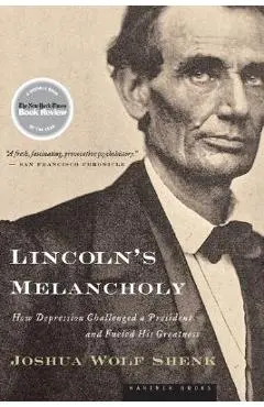 Lincoln's Melancholy: How Depression Challenged a President and Fueled His Greatness - Joshua Wolf Shenk
