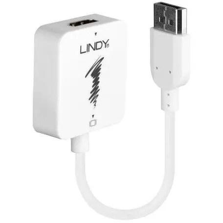 Lindy Adaptor Lindy LY-38146, HDMI - DisplayPort, White