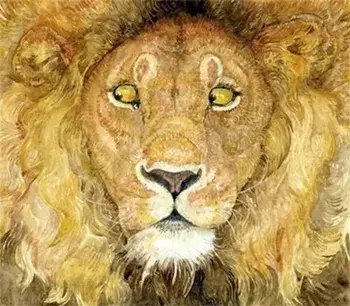 Lion and the Mouse, Paperback/Jerry Pinkney