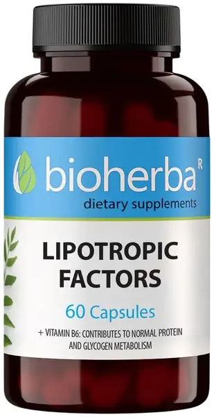 Lipotropic Factors, 60 capsule, Bioherba