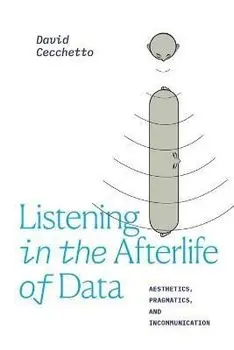 Listening in the Afterlife of Data. Aesthetics, Pragmatics, and Incommunication, Paperback/David Cecchetto