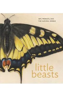 Little Beasts: Art, Wonder, and the Natural World - Alexandra Libby