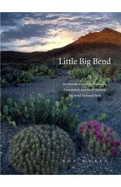 Little Big Bend: Common, Uncommon, and Rare Plants of Big Bend National Park - Roy Morey